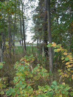 CIMG5012 - Höstpromenad i Kallhäll