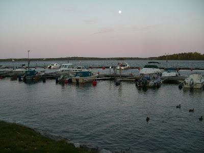 CIMG5049 - Uppiggande morgonpromenad