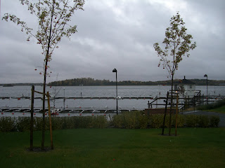 CIMG5157 - Regnig morgon