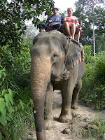 karin+009 - Elefantridning idag