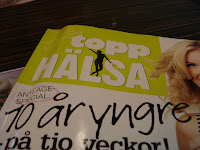 DSC01551 - Hemma i Sverige igen