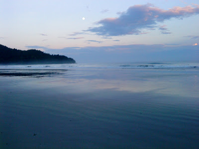 Mobilen+025 - Morgonpromenad Stockholm vs Borneo