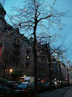 CIMG6076 - 8 skäl till att gå morgonpromenader