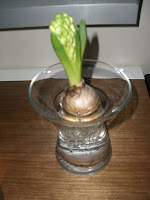 CIMG6152 - Julbak och julpynt på första advent