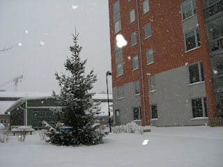 CIMG6388 - Idag har det snöat nästan hela dagen