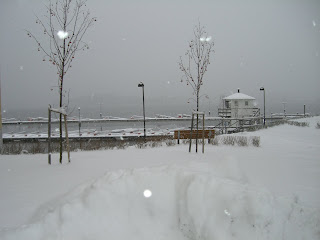 CIMG6391 - Idag har det snöat nästan hela dagen