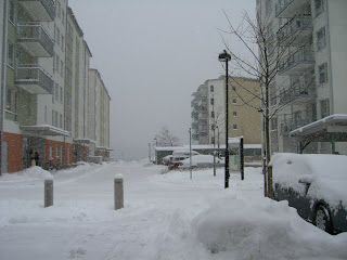 CIMG6387 - Idag har det snöat nästan hela dagen