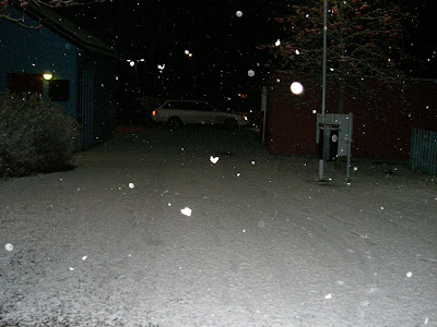 CIMG6307 - Julpynt, lax och första snön