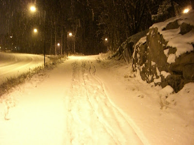 CIMG6343 - Mycket snö och långkalsonger