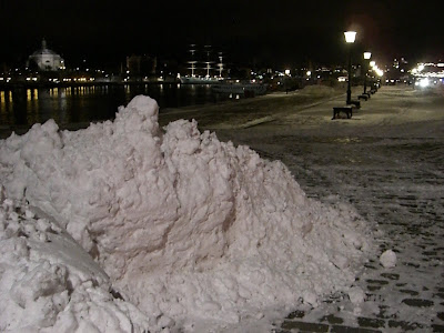CIMG6360 - Promenad och astangayoga
