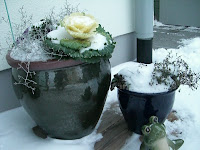 CIMG6367 - Tidiga helgmorgnar utan stress