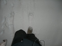 CIMG6432 - Pulspromenad i snö