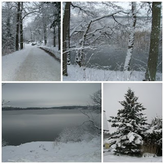 julpromenad2 - Vintervit julpromenad