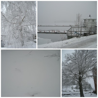 vitt - 2010 - Nytt år, nya möjligheter