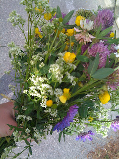 Blommor+under+promenad - Härlig promenad på midsommaraftons morgon