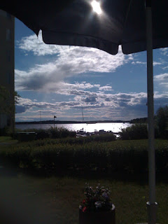 Kyckling+001 - Grillad kyckling med kanelmarinad