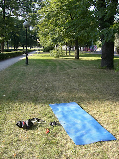 Matta+och+tr%C3%A4ningsrem - Styrketräning i en park i Tallinn