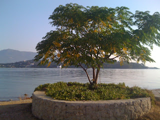 Grekland+mm+020 - En av semesterns många morgonpromenader