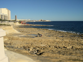 CIMG9576 - Guldkorn från Malta