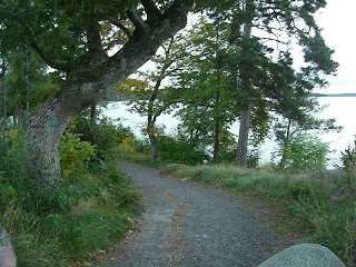 CIMG9719 - Jag kan i alla fall promenera