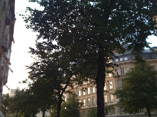 h%C3%B6stmorgon+30+sep+001 - Lite dis och kyla är skönt på morgonen