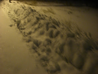 Sn%25C3%25B6ig%2Bpromenad%2B2 - Promenad i mycket snö