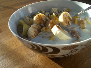 Havregrynsgr%25C3%25B6t%2Bmed%2Bchoklad%2Bproteinpulver%252C%2Bpsylliumfr%25C3%25B6n%252C%2Bsolrosfr%25C3%25B6n%252C%2Bbanan%252C%2Bmango%252C%2Bkanel%2Boch%2Bmj%25C3%25B6lk%2B%25284%2529 - gröttips