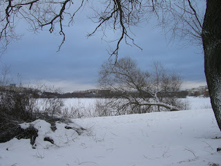 world%2Bclass%2Balvik%2B%25283%2529 - World Class Alvik