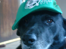 Blog Mascot