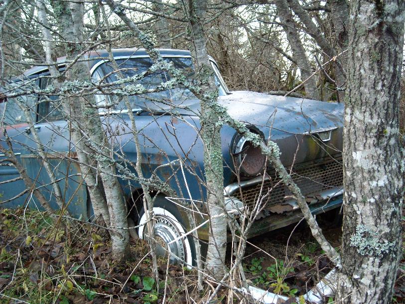 [Vauxhall+skrot1.JPG]