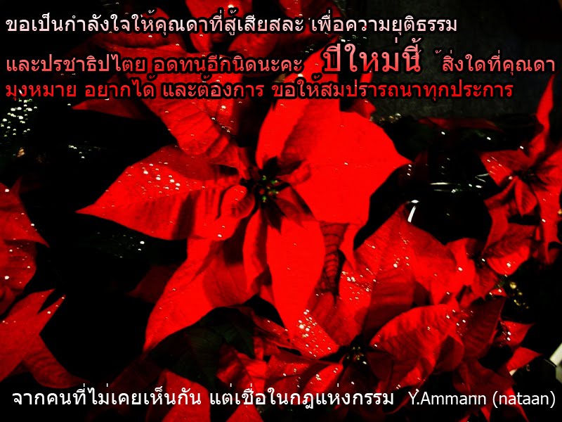 [PC%20%E0%B8%94%E0%B8%B21.jpg%20]