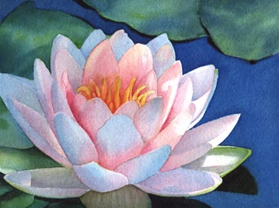 [WaterlillyBlog.jpg]