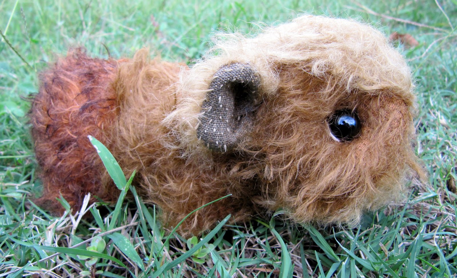 The Inner World of Emma's Bears Guinea Pigs on eBay