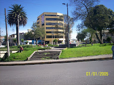 LA FLORESTA