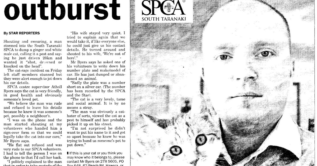 my views of New Zealand South Taranaki, the armpit of the universe