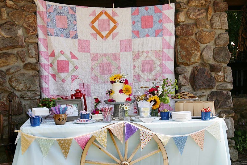 Party Wishes Pioneer Party