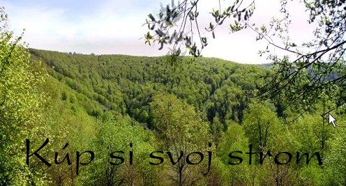 Kúp si svoj strom