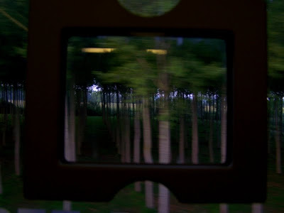 pidic encadrees bordeaux gironde train serie voyage photo photographie amateur foret alignement arbres effet stroboscopique