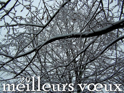 pidic neige encadrees bordeaux carte voeux vœux 2011 bonne annee