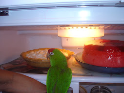 ¿Los loros pueden comer de todo?