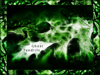 Fallen (Ghost Green) (c) Copyright 2009 Christopher V. DeRobertis. All rights reserved. insilentpassage.com