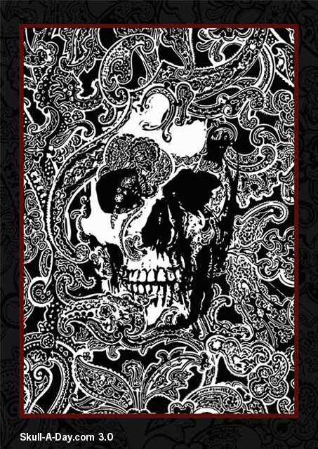 [paisley-4-site.jpg]