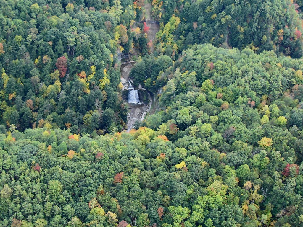 Photographic Logbook: Fall Color, Stony Brook, and...Jello?