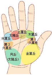 掌相學命理分析家: 掌相圖