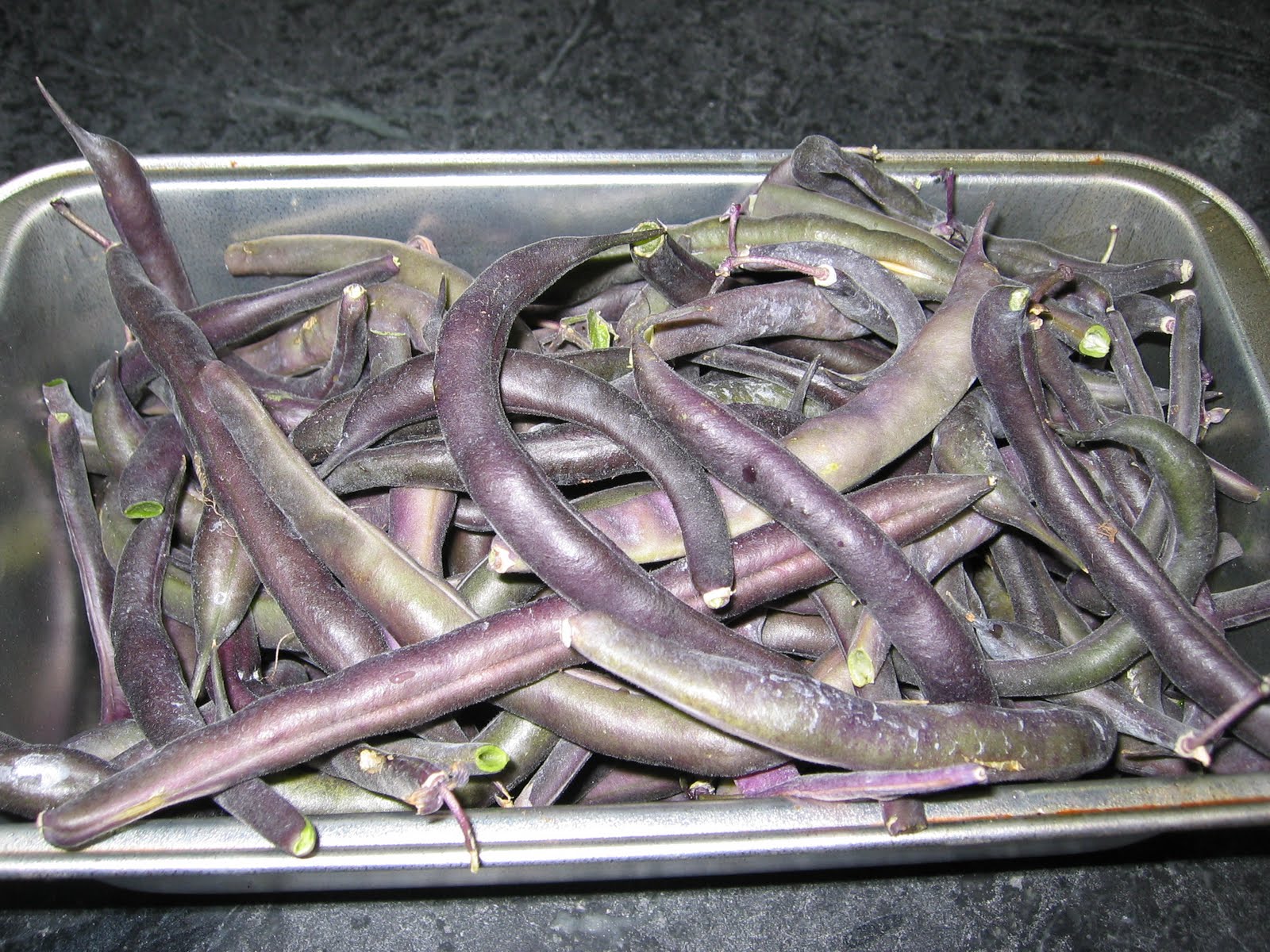 Toni's Square Foot Garden Royal Burgundy Beans and dried Cherry Tomatoes