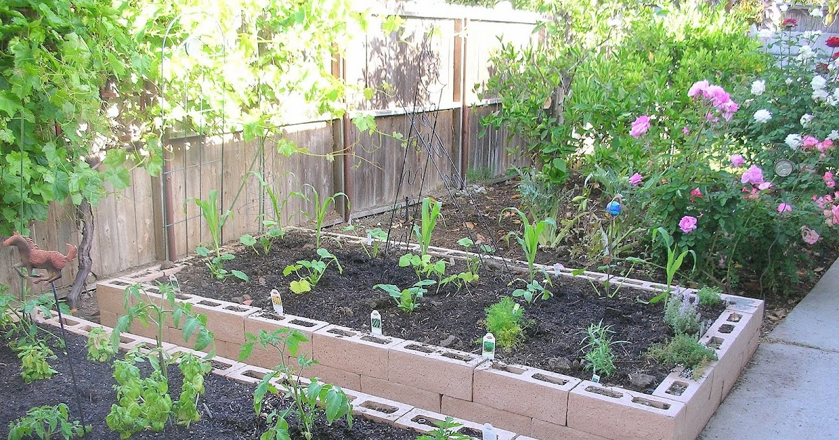 Into the Kitchen: Potager