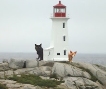 Our lighthouse Peggy's Cove