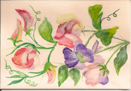 Sweet Peas