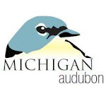 Michigan Audubon