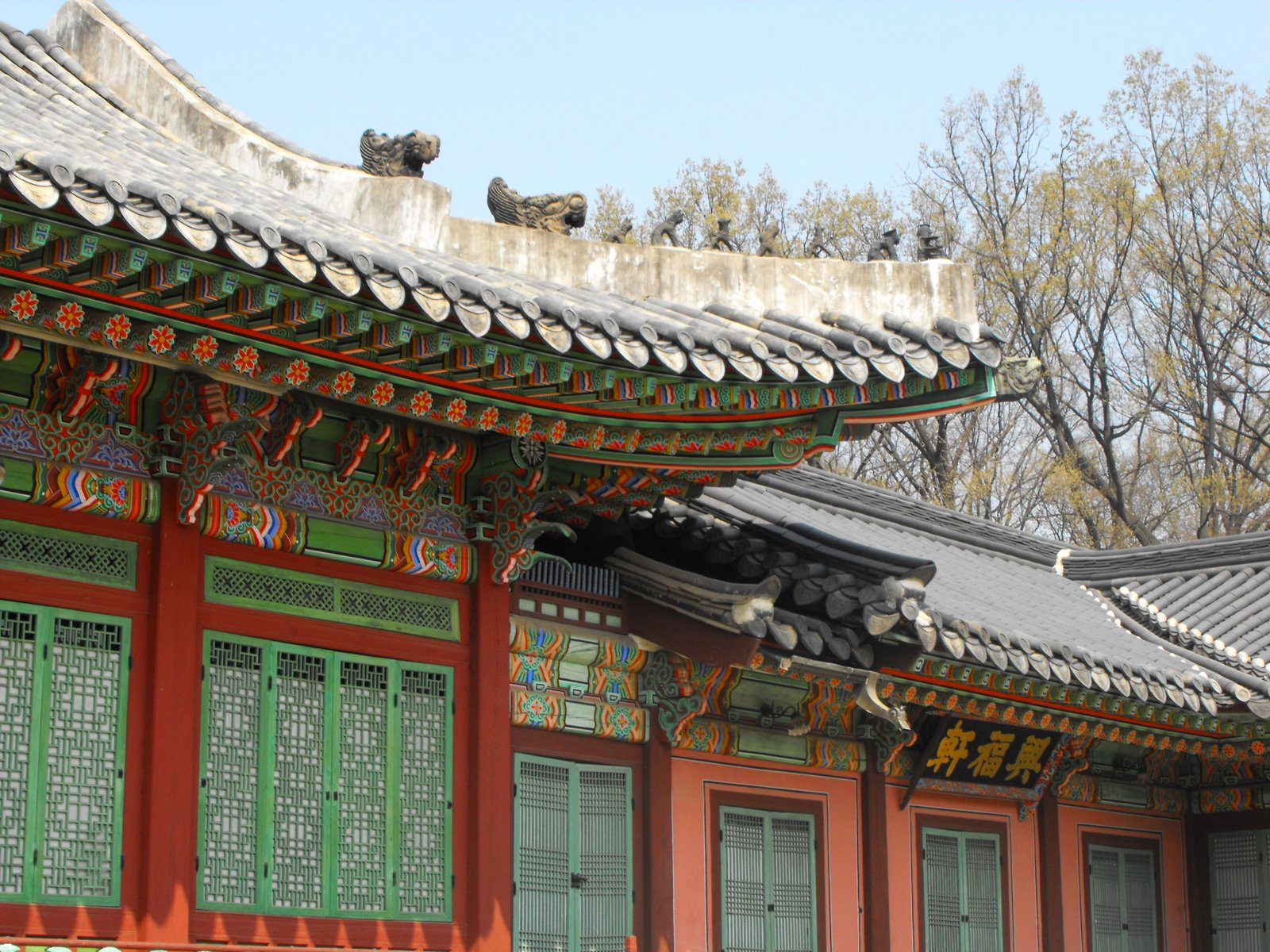 [DSCF0085.JPG]